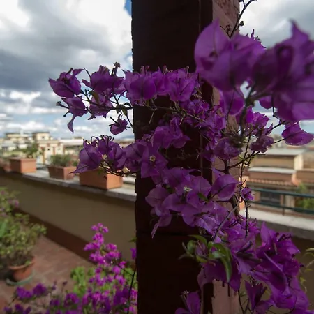 La Terrazza